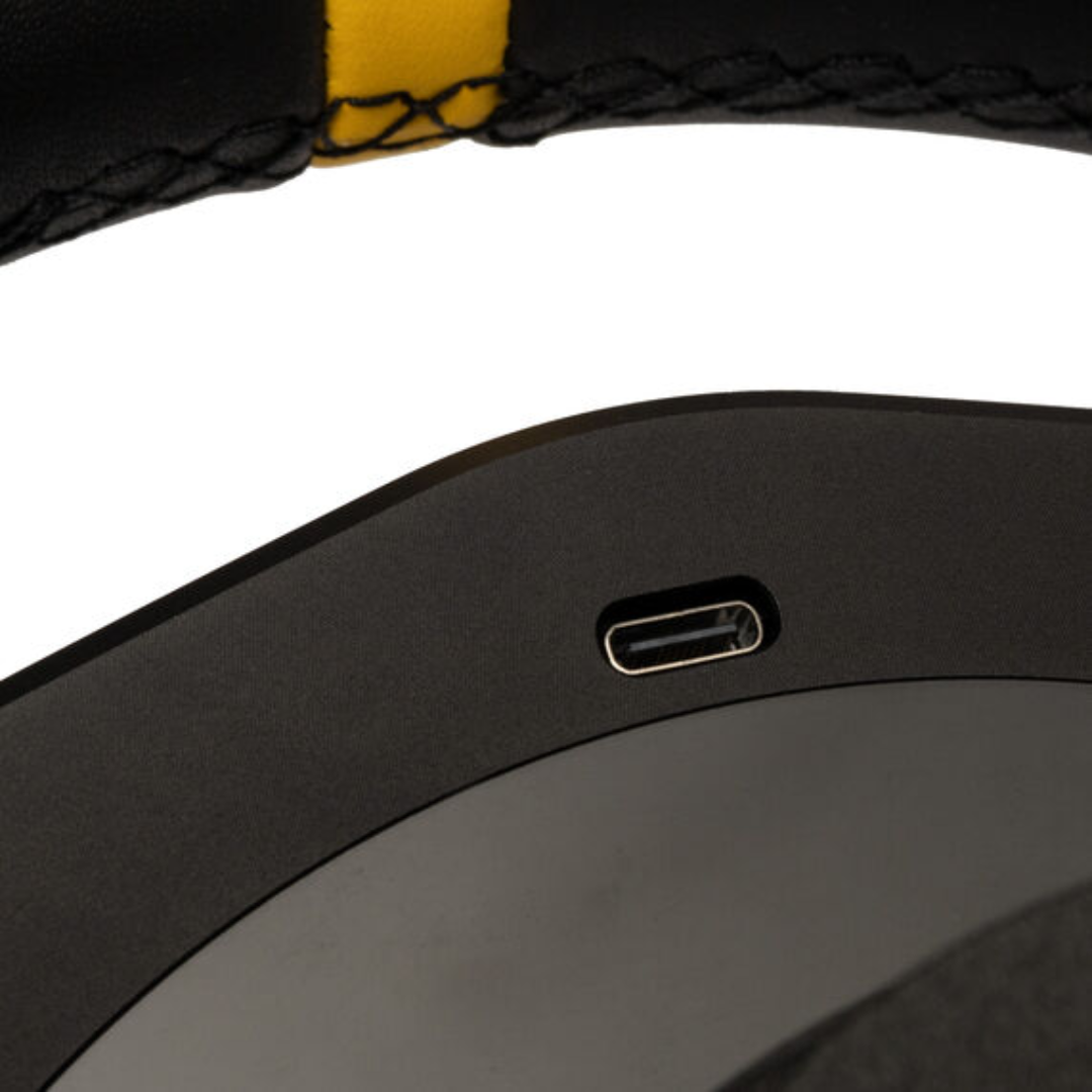 Cammus GT2 Racing Wheel