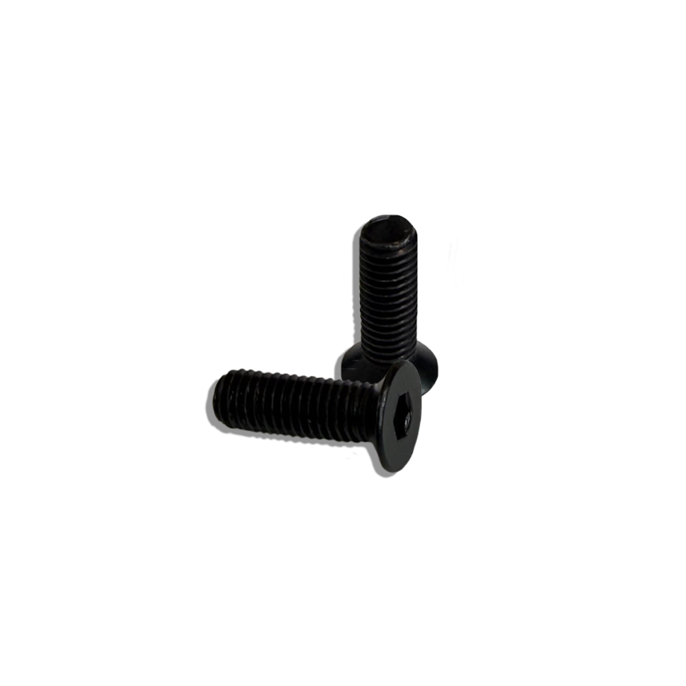 Black screw on a white background