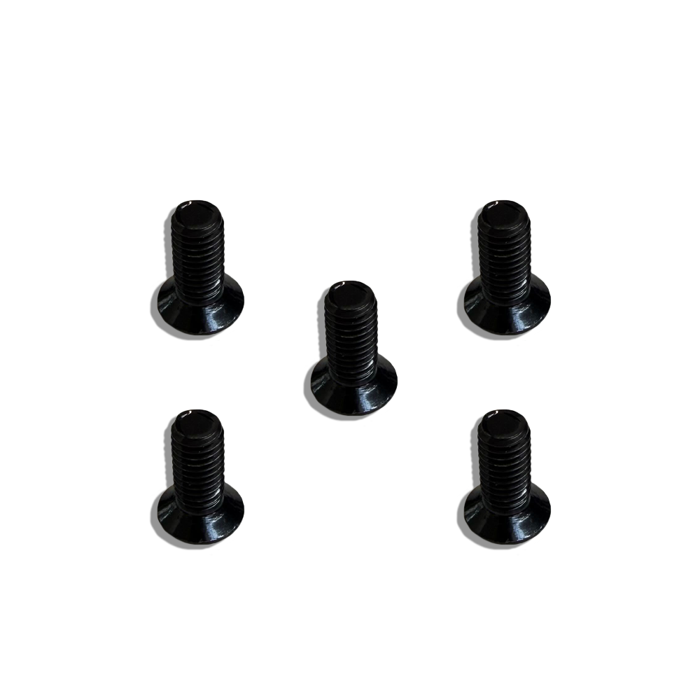 Five black screws on a white background