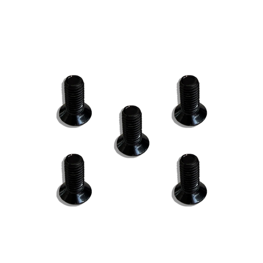 Five black screws on a white background