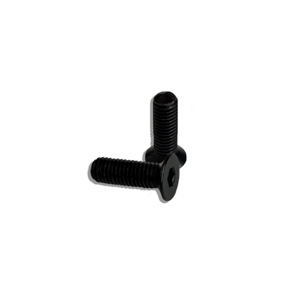 Black screw on a white background